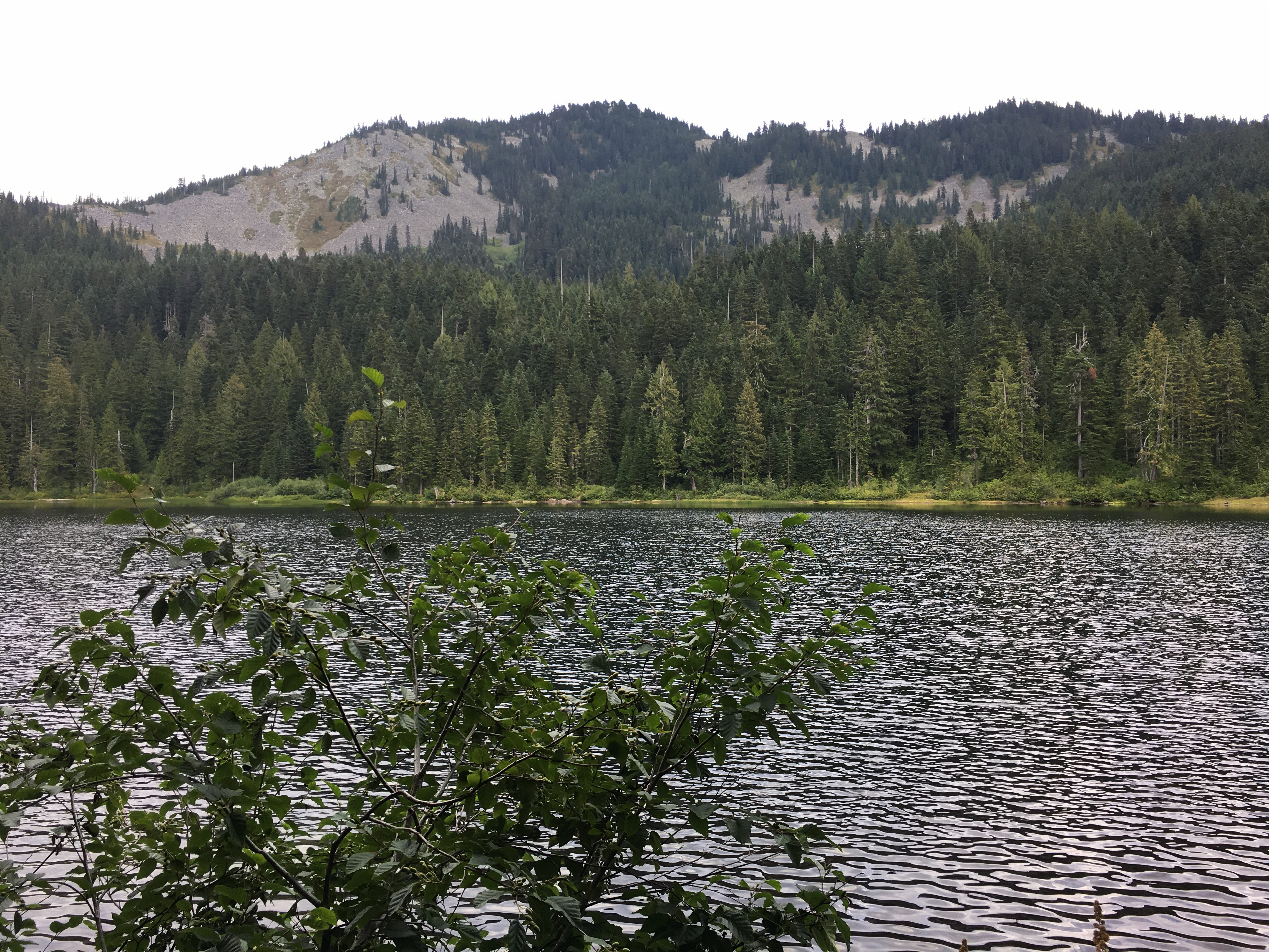 Talapus Lake Trail