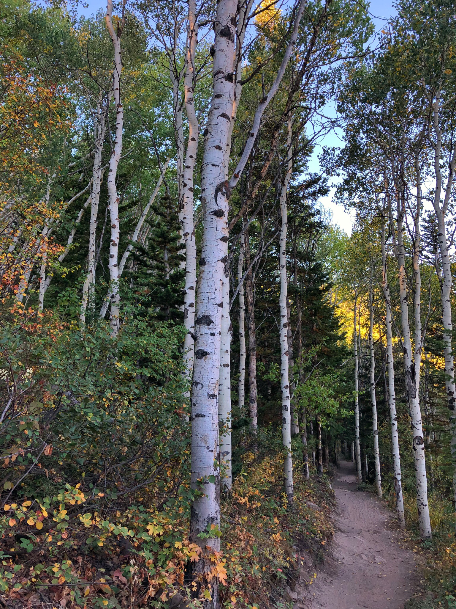 Hike, Run, Bike Rob's Trail in Park City