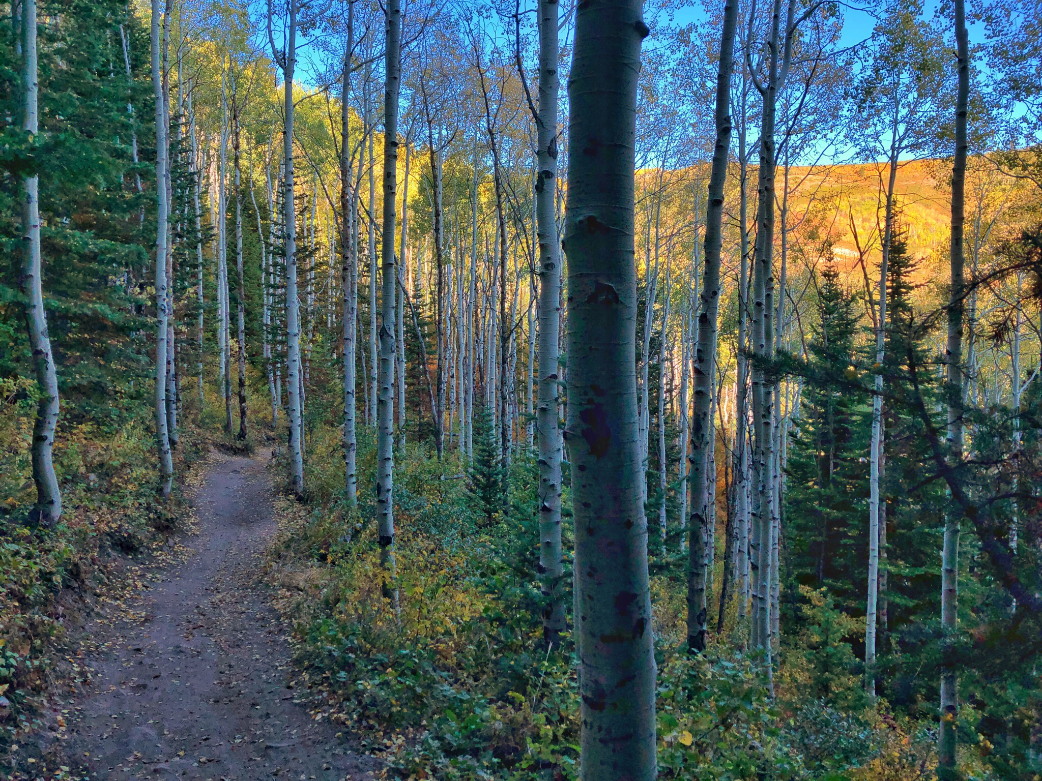 Hike, Run, Bike Rob's Trail in Park City