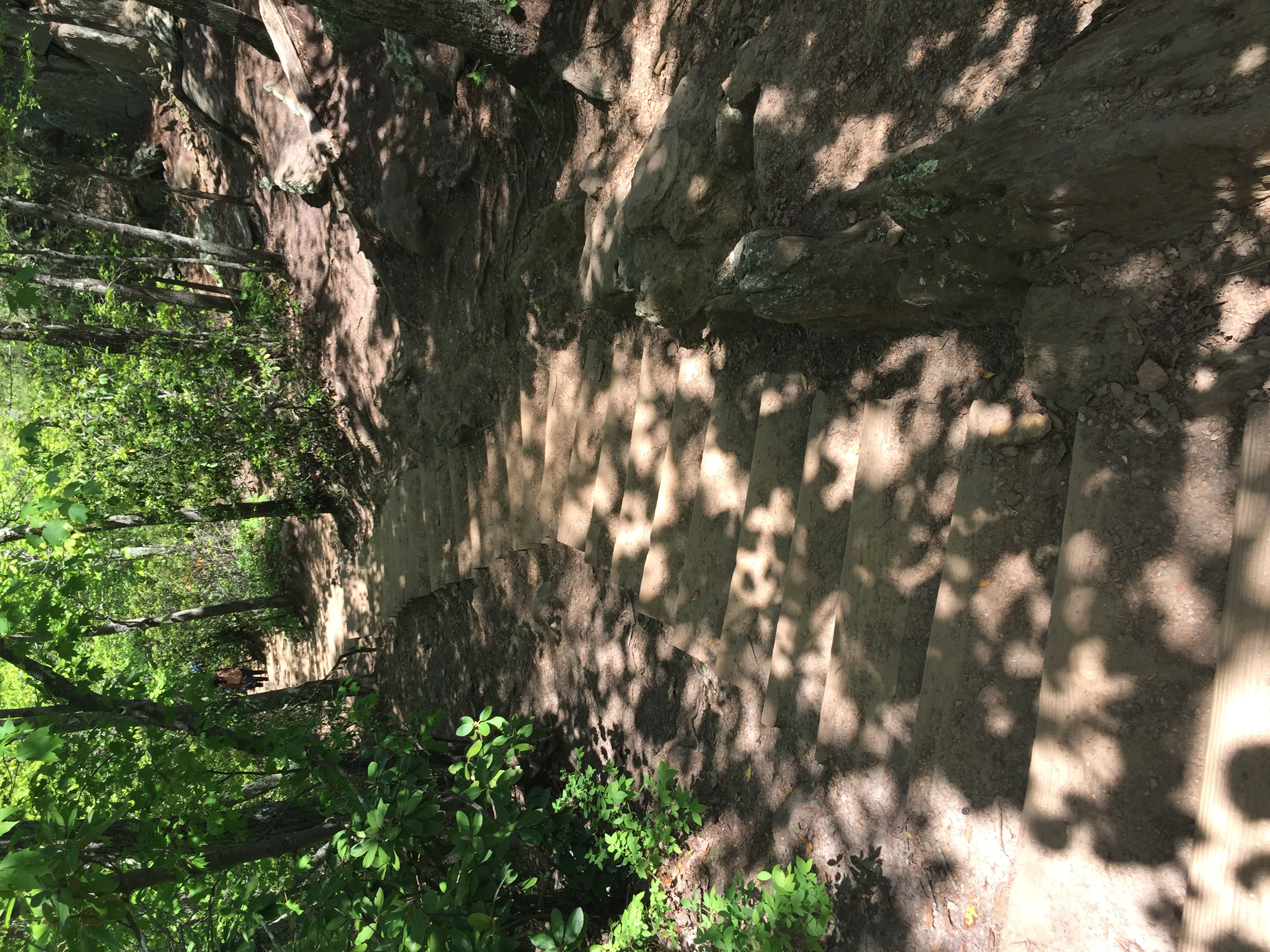 Hike Crowders Mountain 