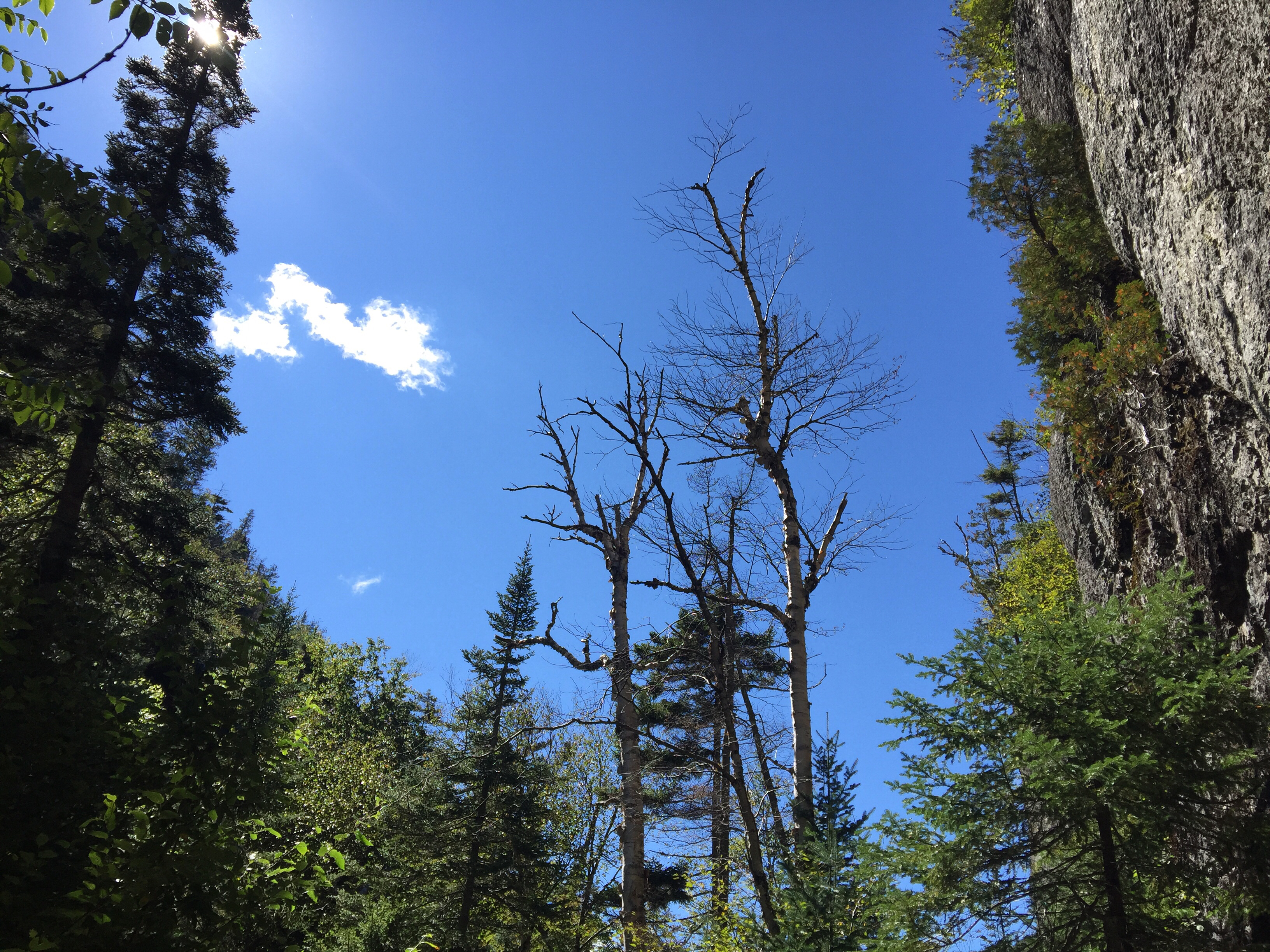 Avalanche Pass via Van Hovenberg Trail