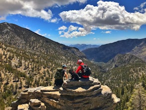 Trail Canyon in the Mt. Charleston Wilderness