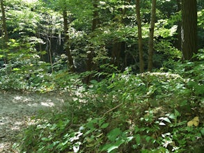 Hike the Matthiessen State Park Loop