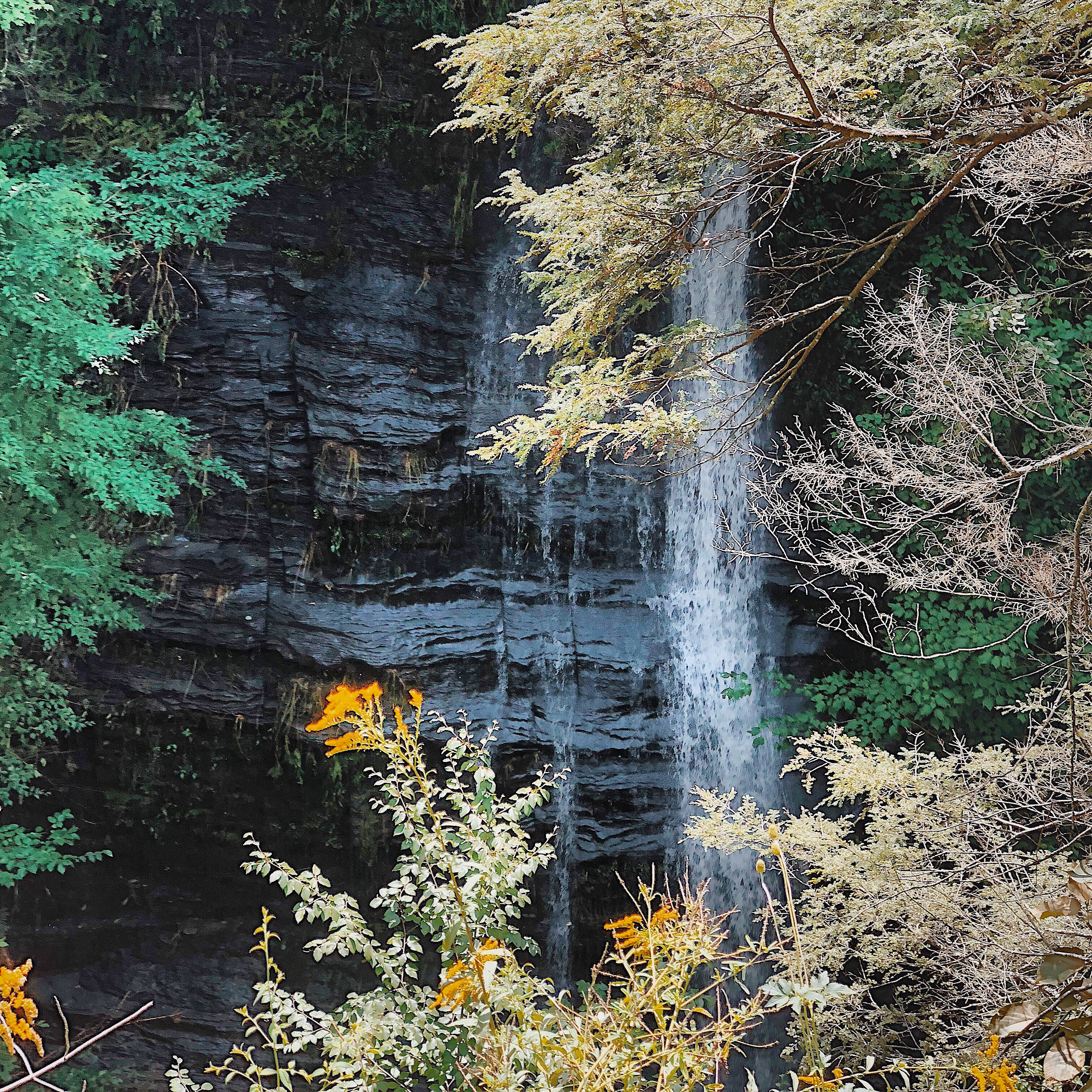 Gorge Trail via South Parking Lot  