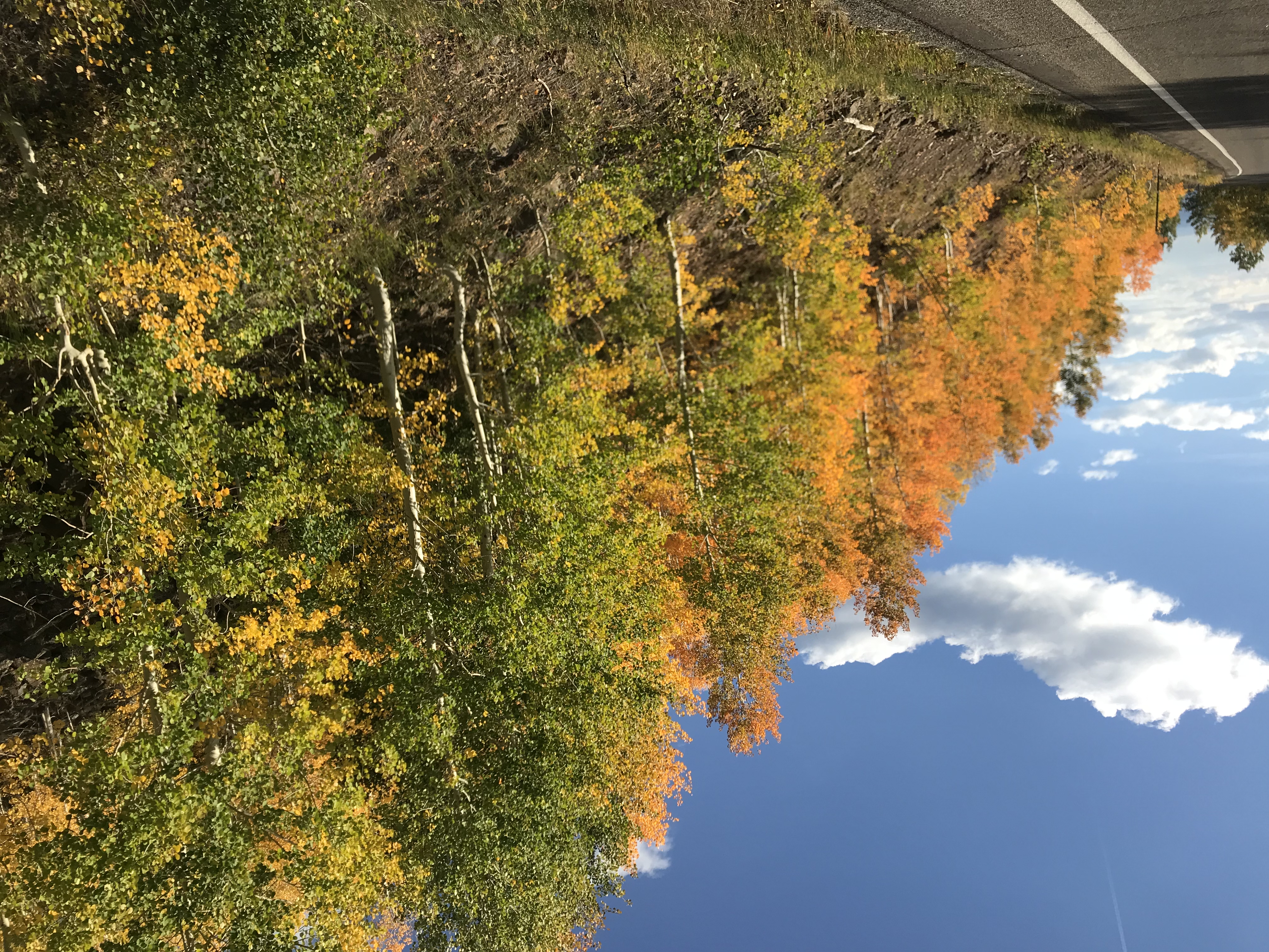Grand Mesa Scenic Byway