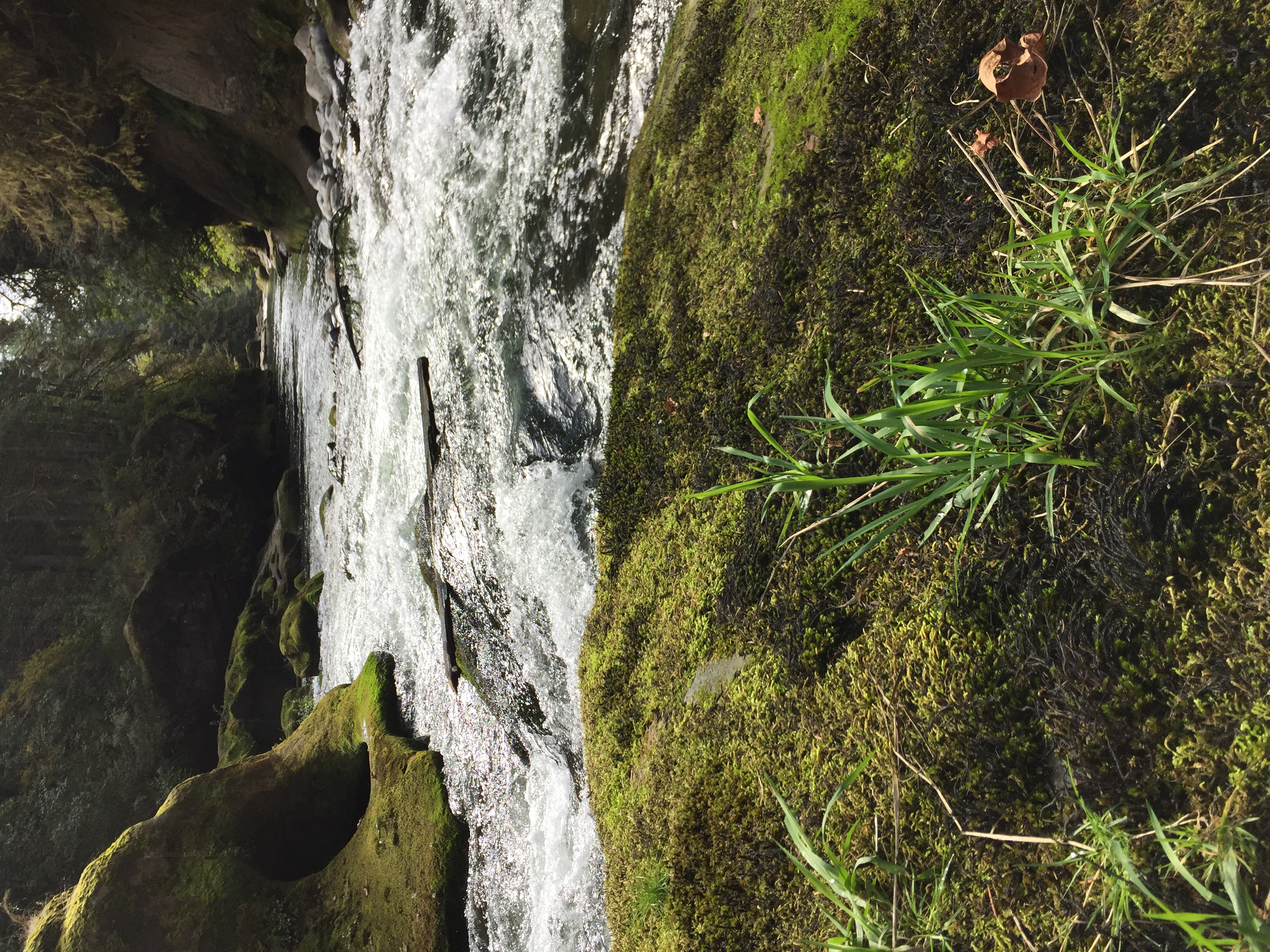 Explore the Green River Gorge
