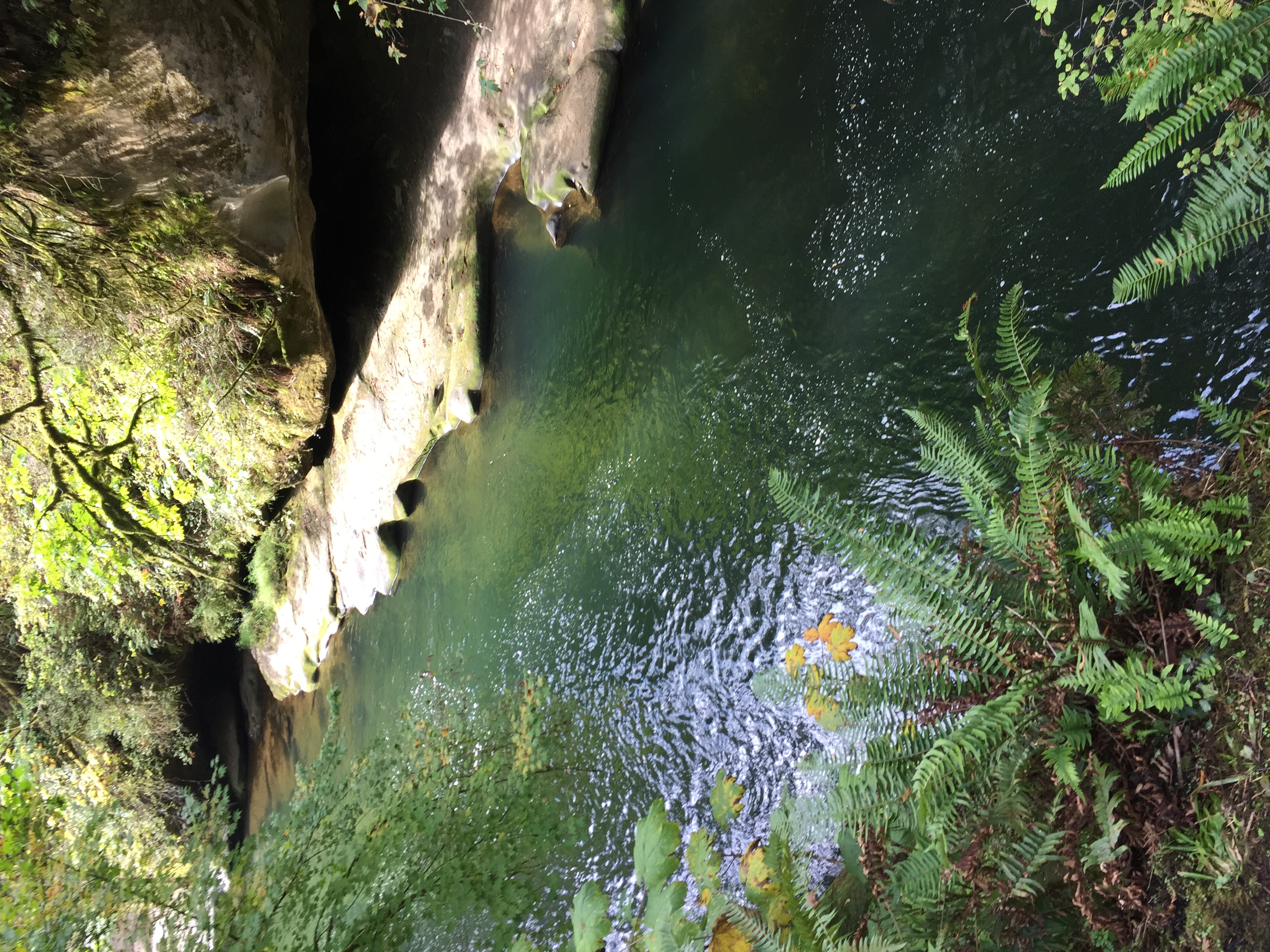 Explore the Green River Gorge