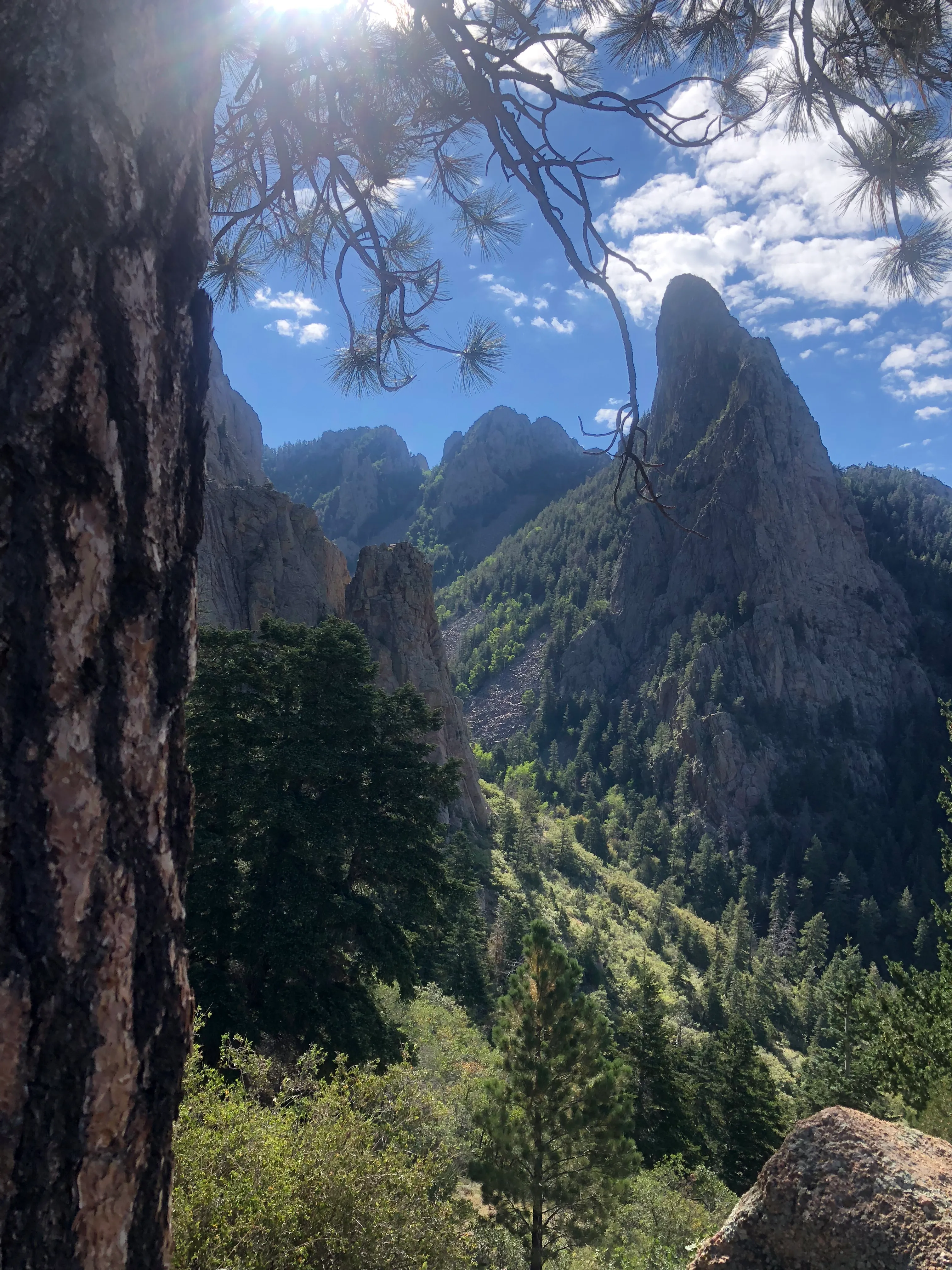 Hike La Luz Trail 