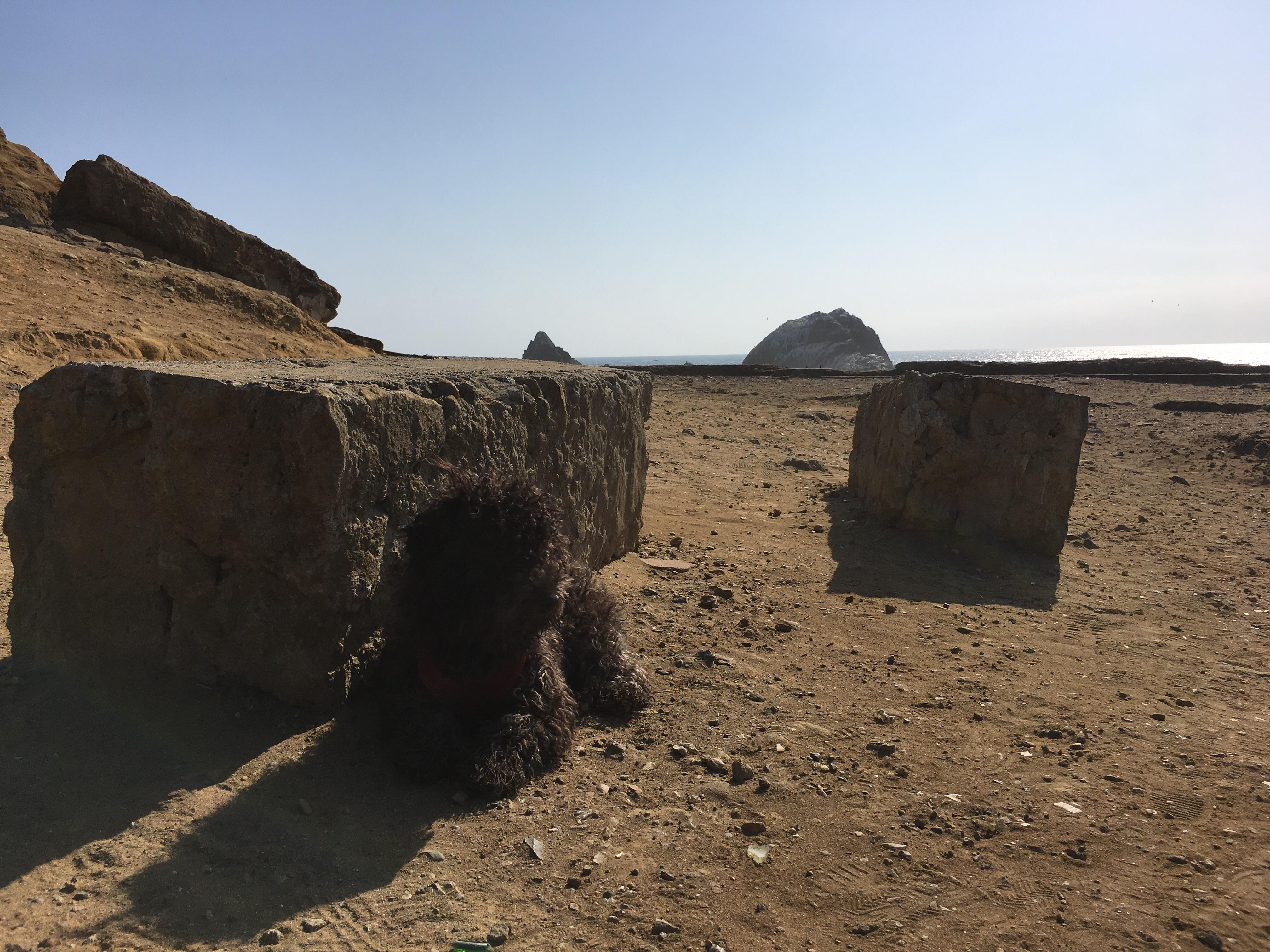 Sutro Baths Ruins
