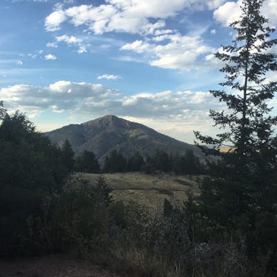 Hike Mount Falcon