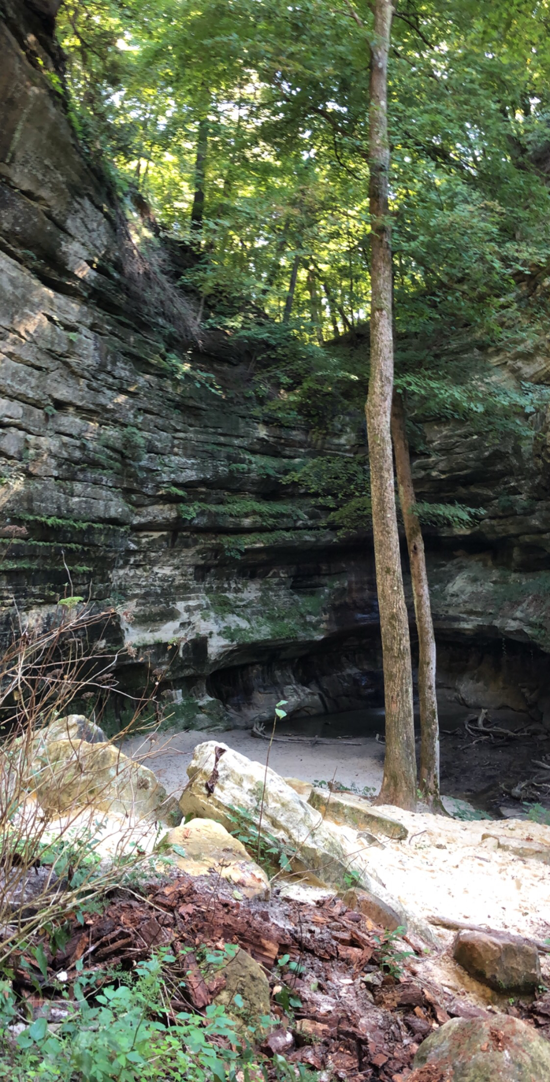 St. Louis Canyon
