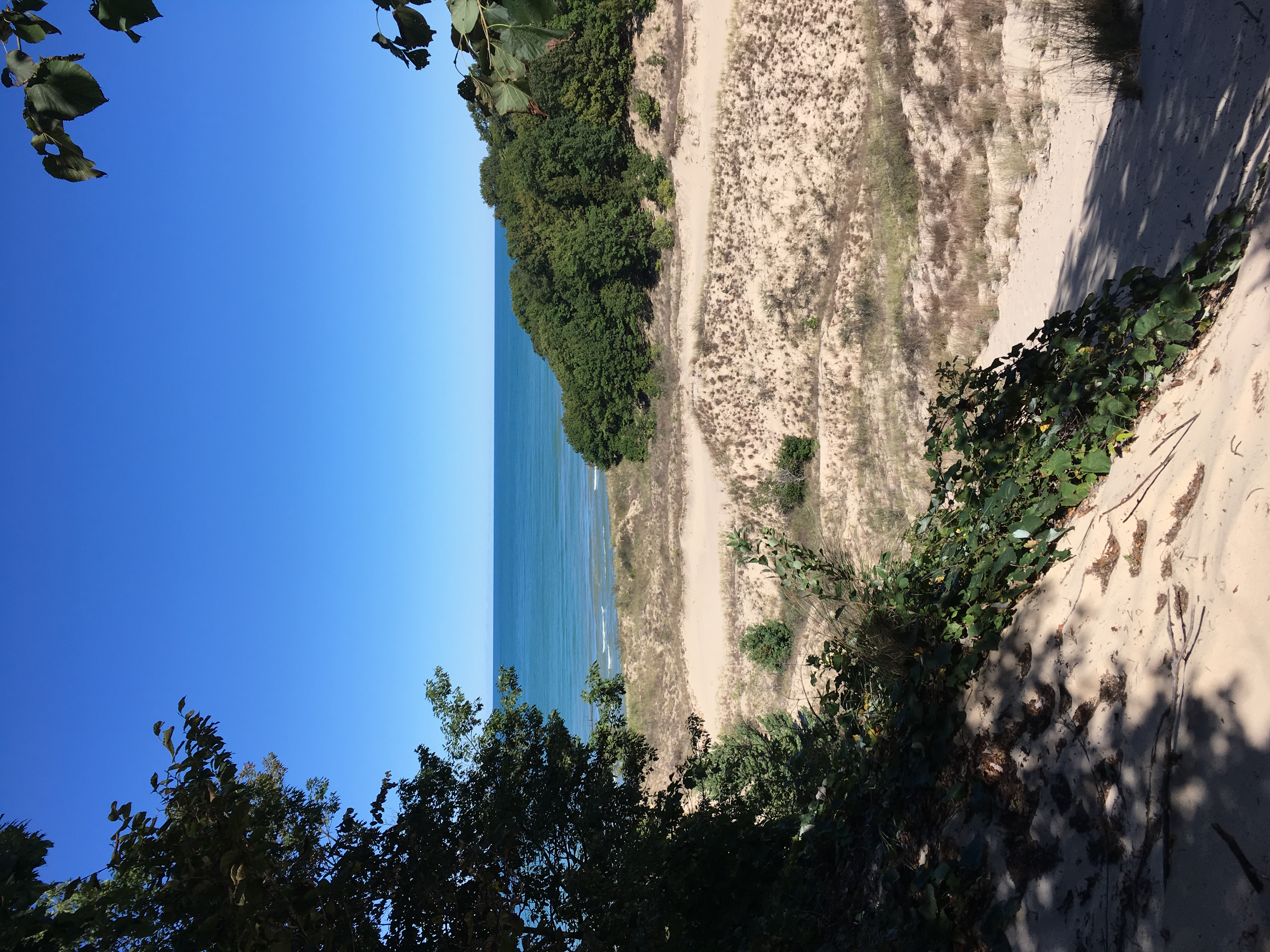 Camp at Warren Dunes State Park