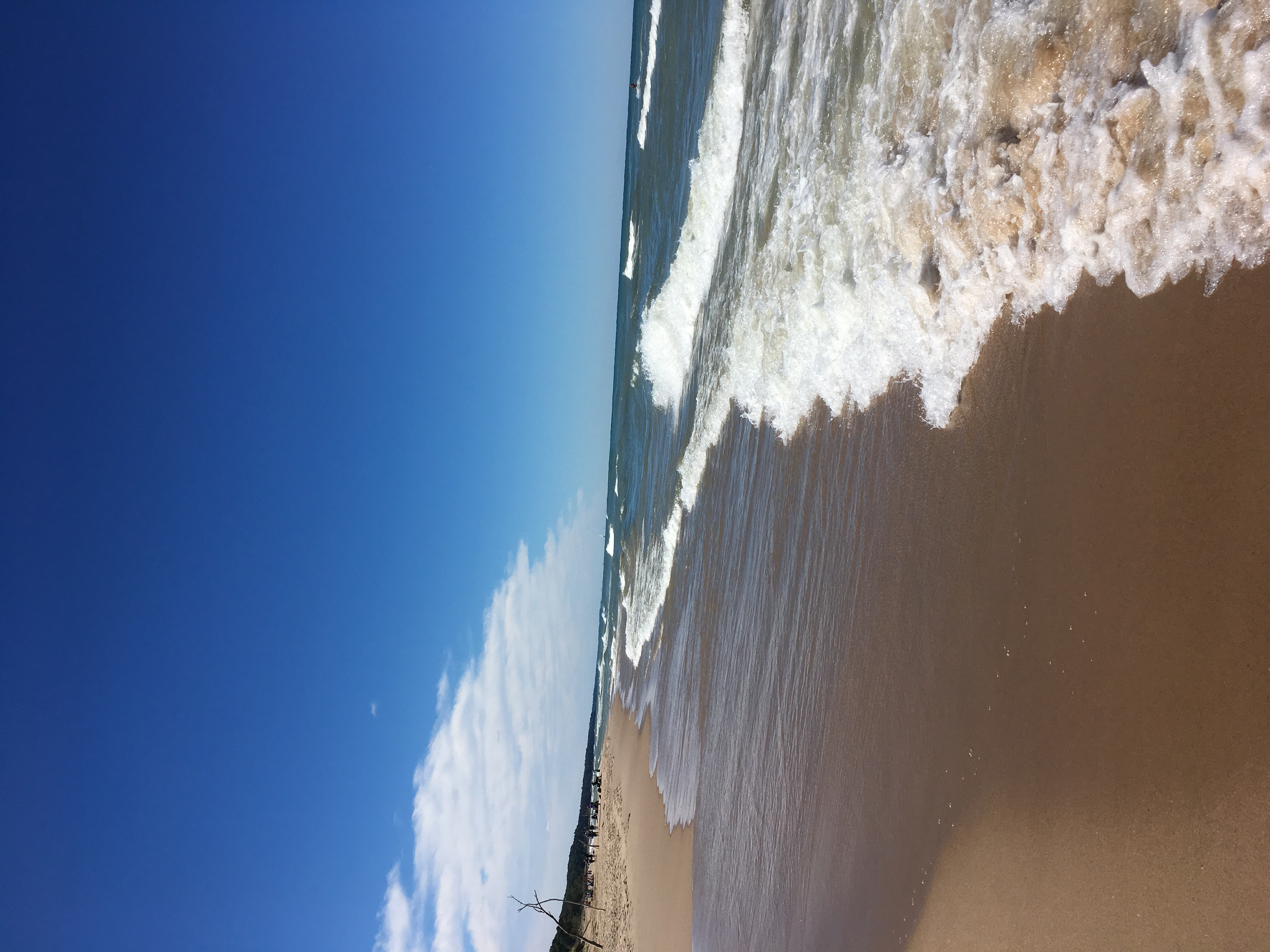 Camp at Warren Dunes State Park
