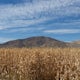 Hike the Elkhorn Crest Lollipop from Anthony Lakes