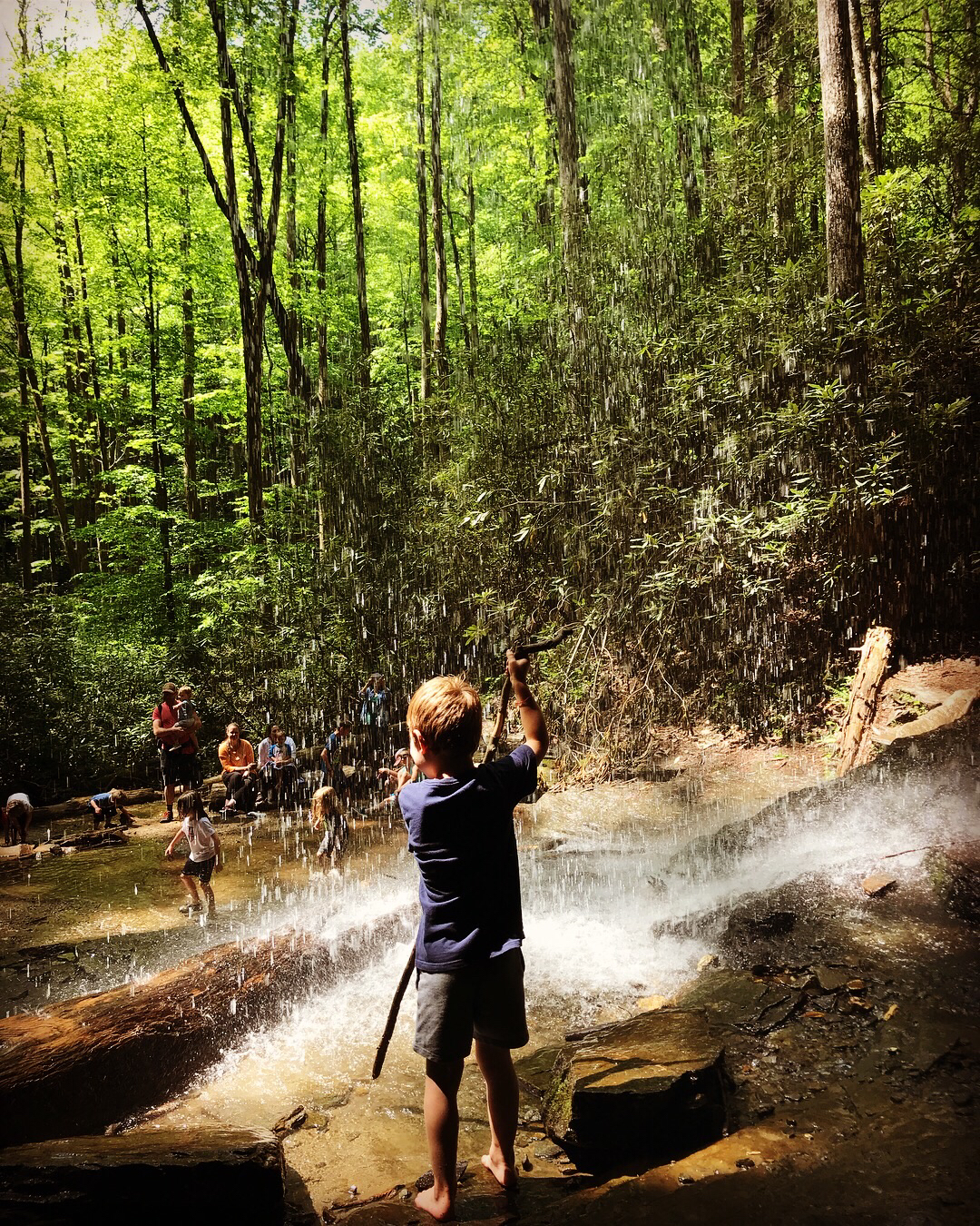 Moore Cove Falls