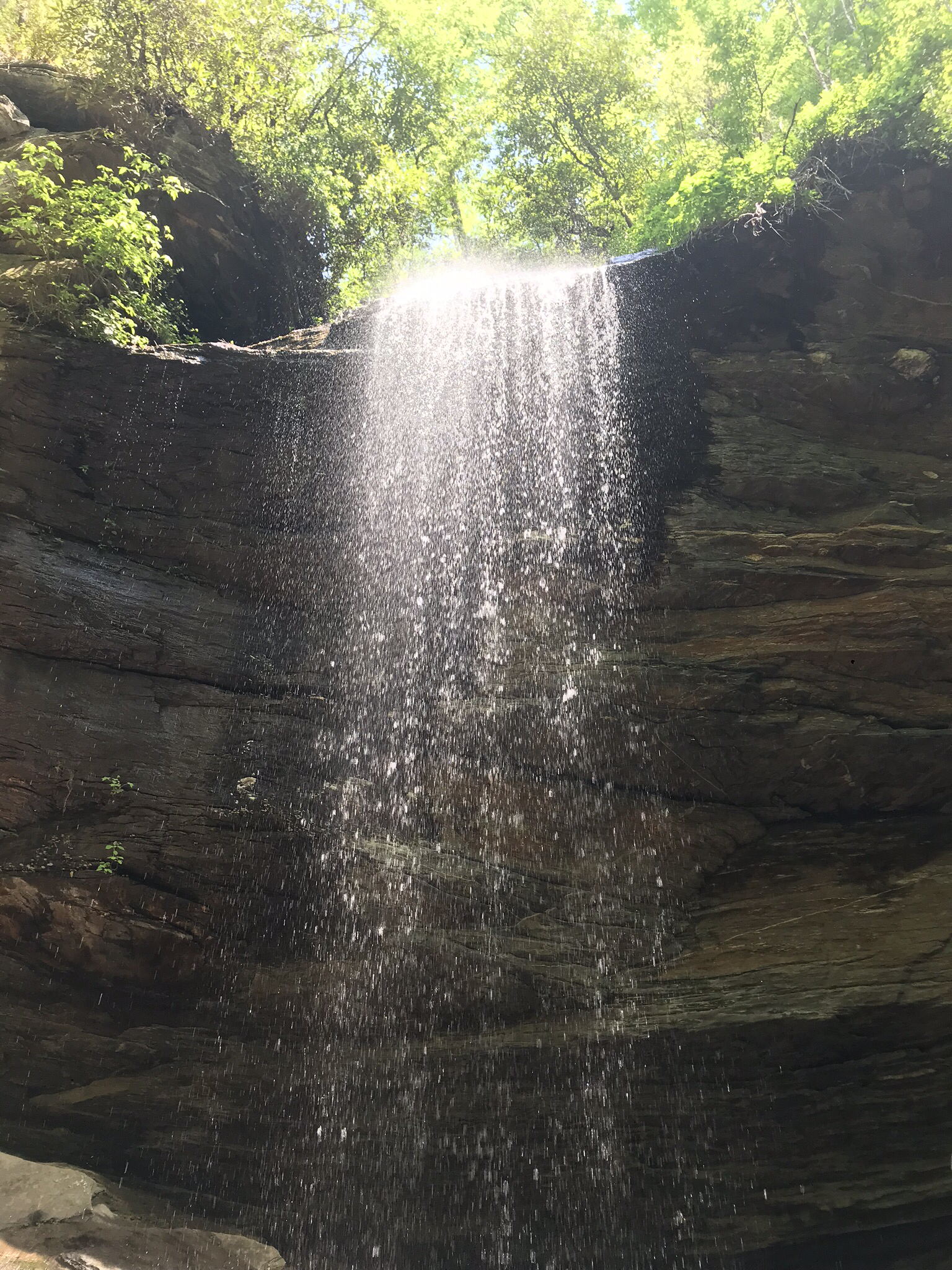 Moore Cove Falls