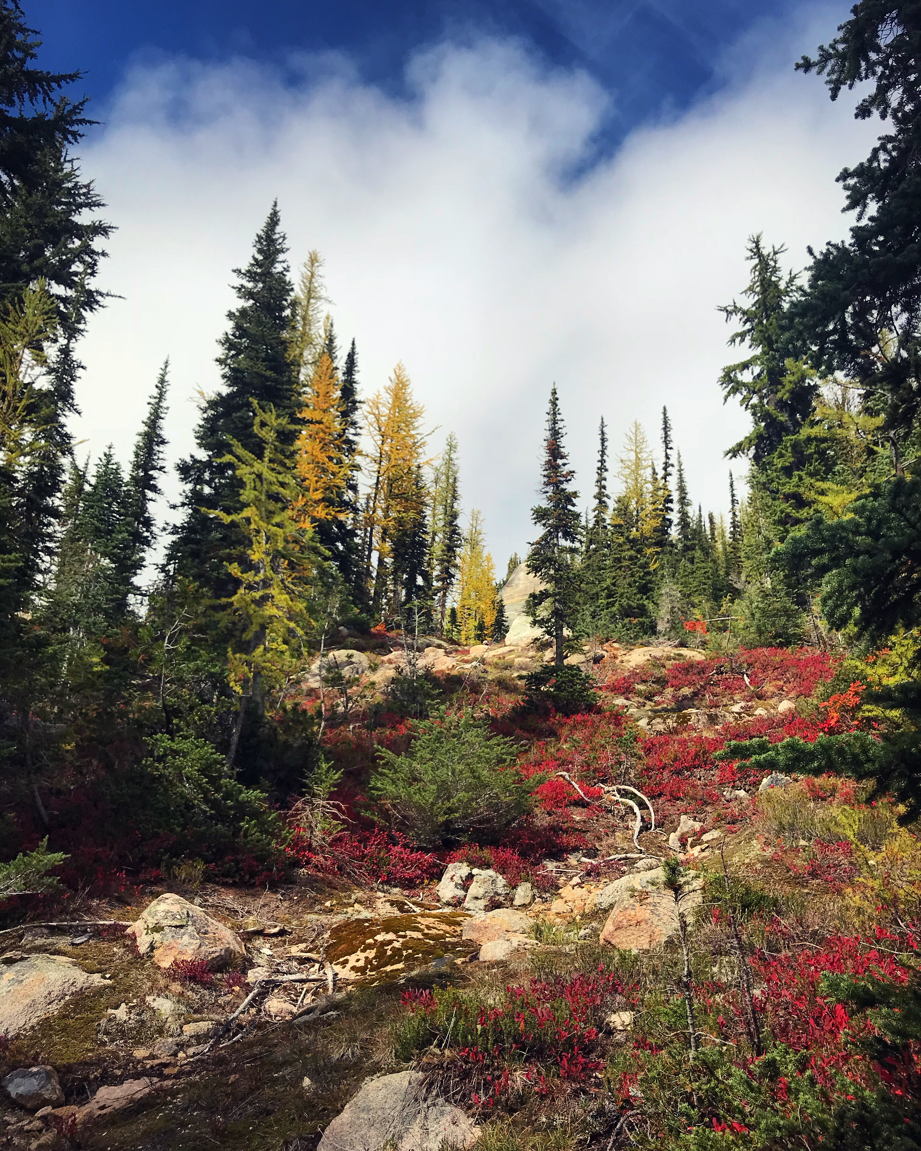 Cutthroat Pass via Cutthroat Trail