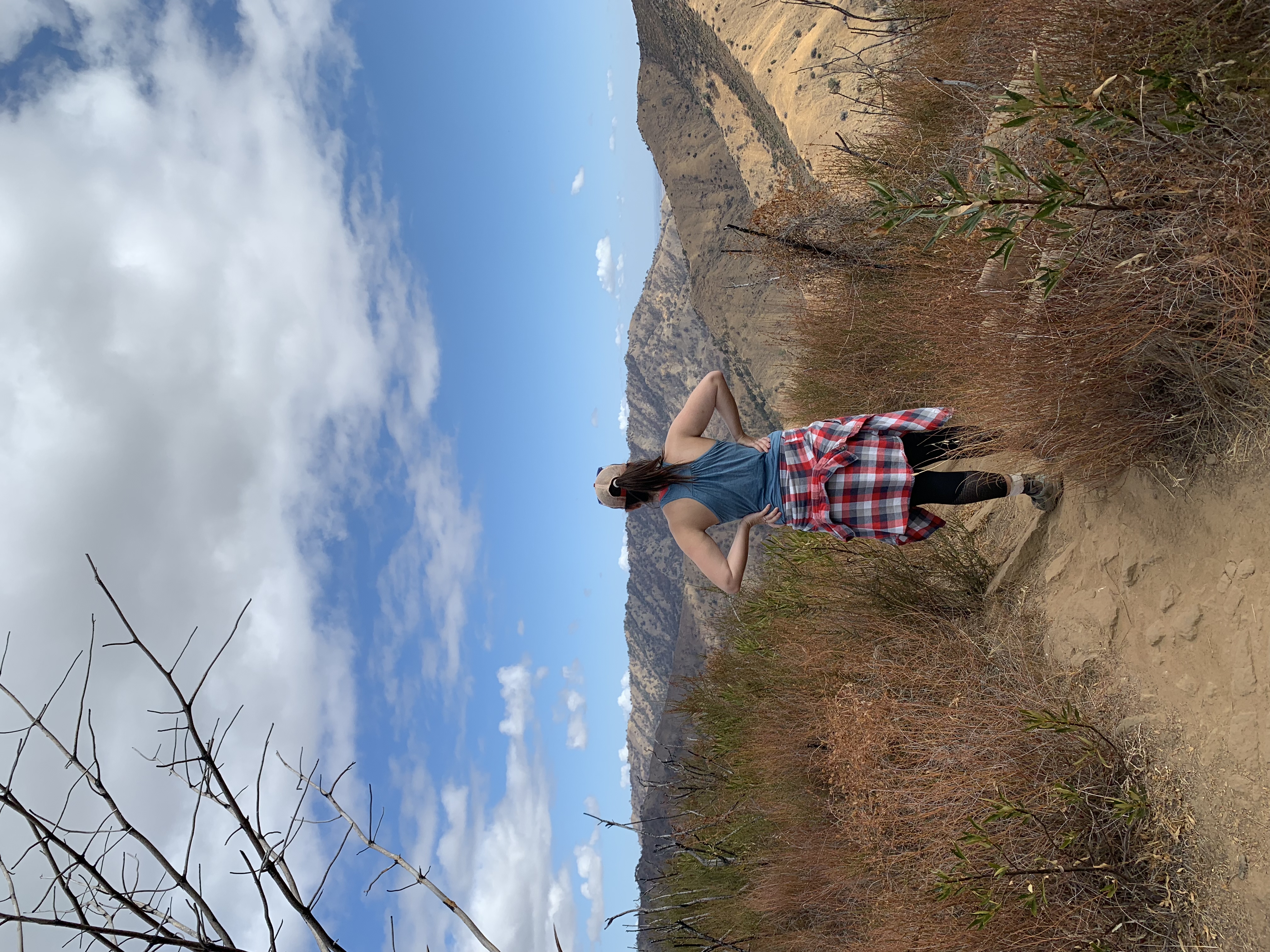 Homestead & Blue Ridge Loop