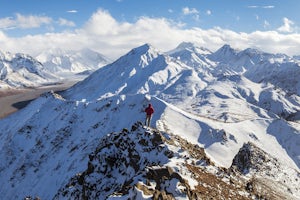 5 Jaw-Dropping Adventures in Denali National Park