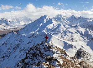 5 Jaw-Dropping Adventures in Denali National Park