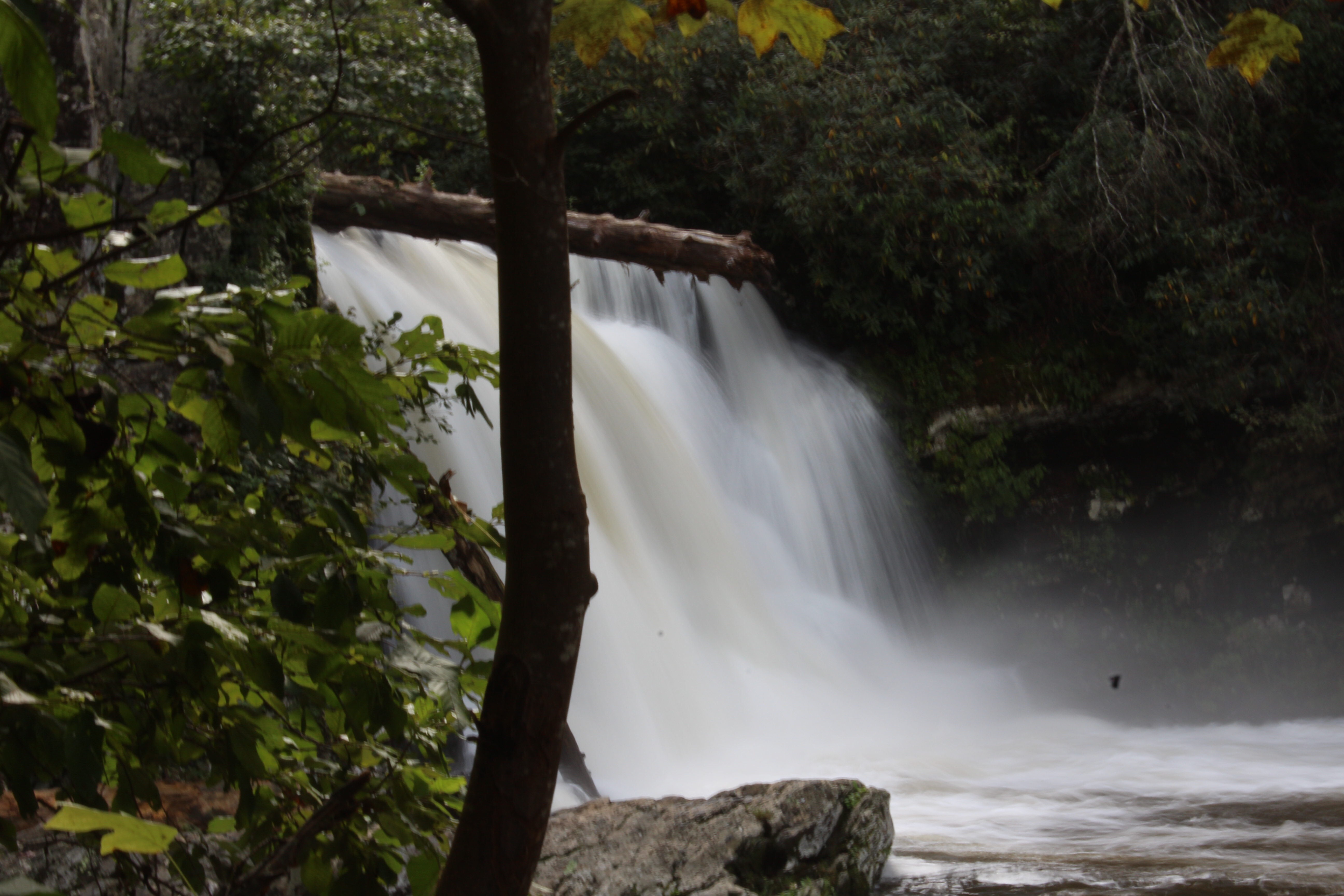 Abrams Falls Trail