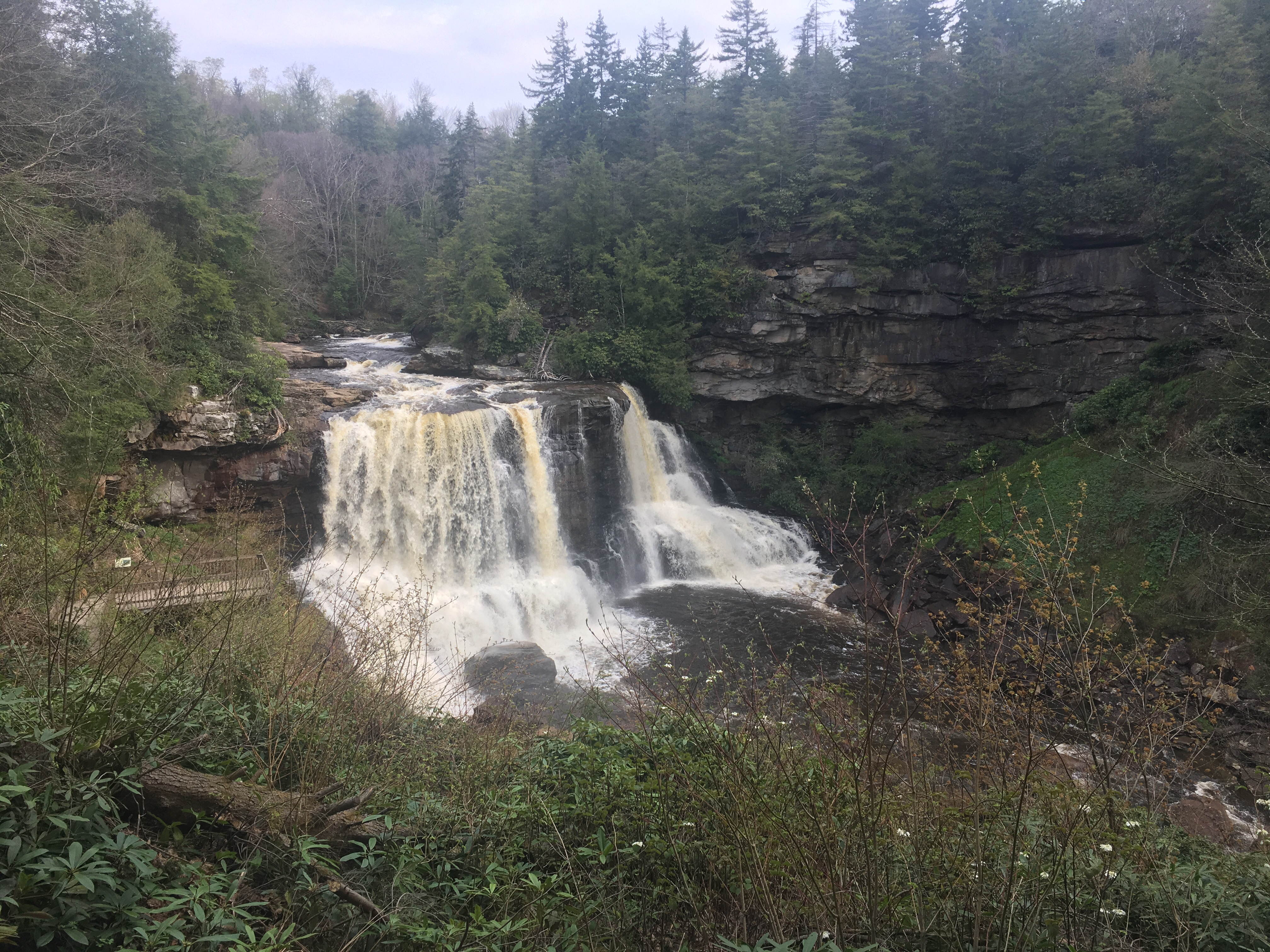 Photograph Blackwater Falls
