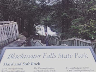 Photograph Blackwater Falls