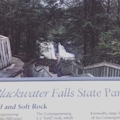Photograph Blackwater Falls