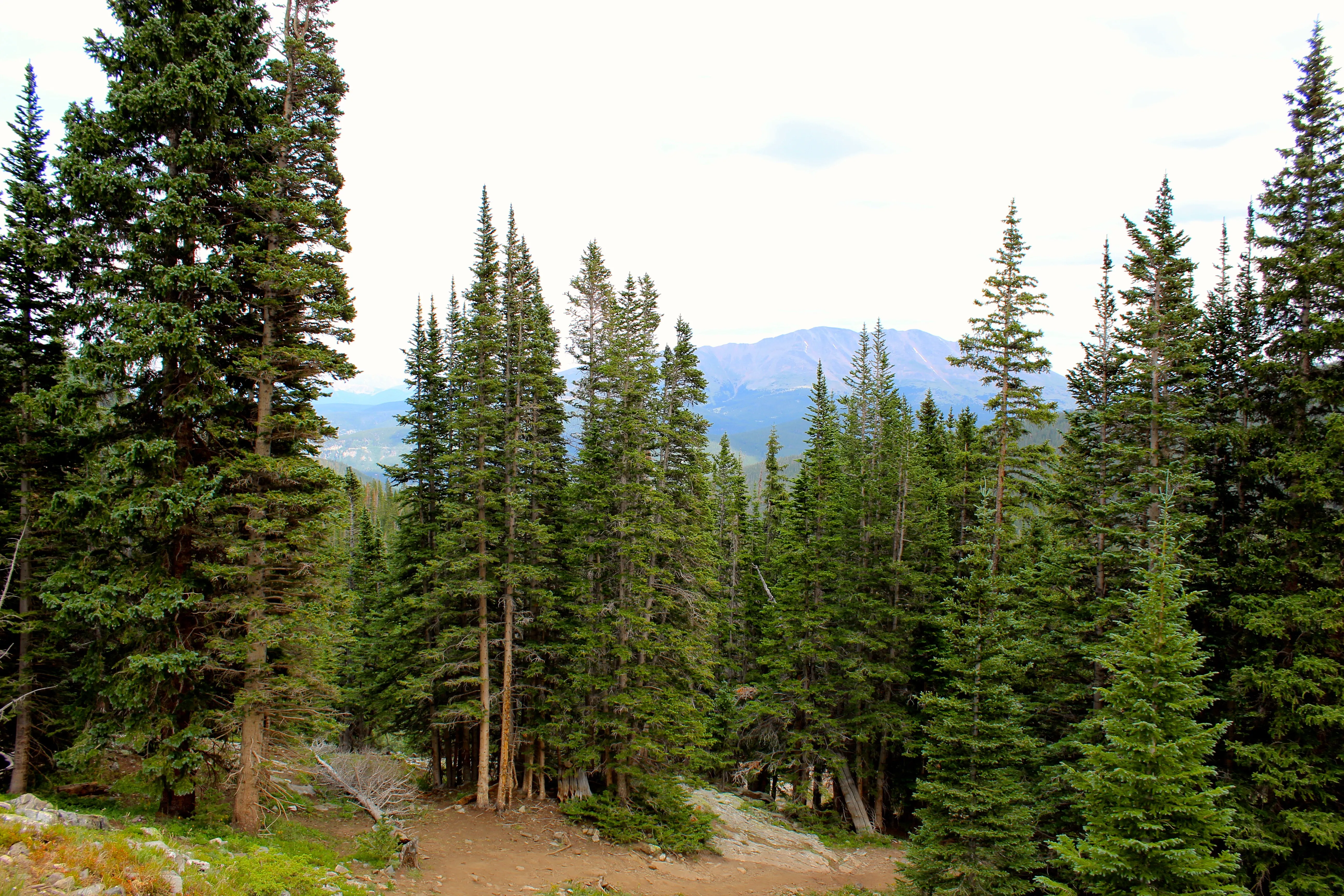 Lower & Upper Mohawk Lakes