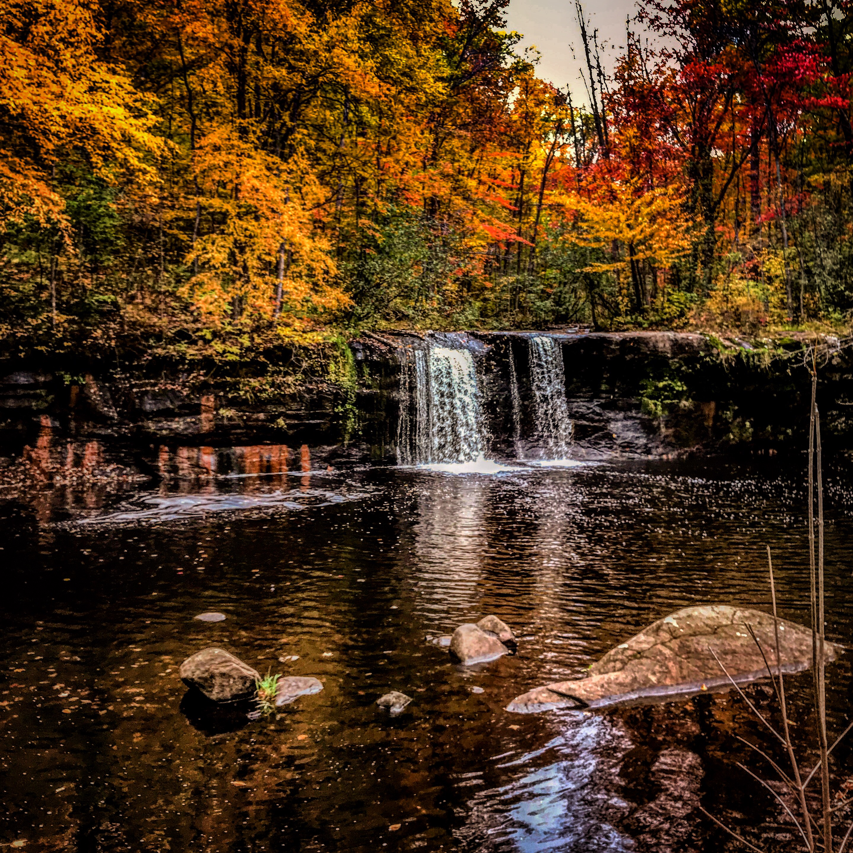 Wolf Creek Falls