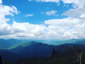 Sam Knob and Flat Laurel Creek Loop