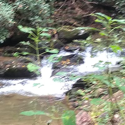 Explore Mill Creek Falls