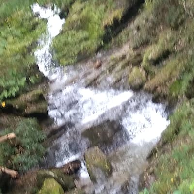 Explore Mill Creek Falls