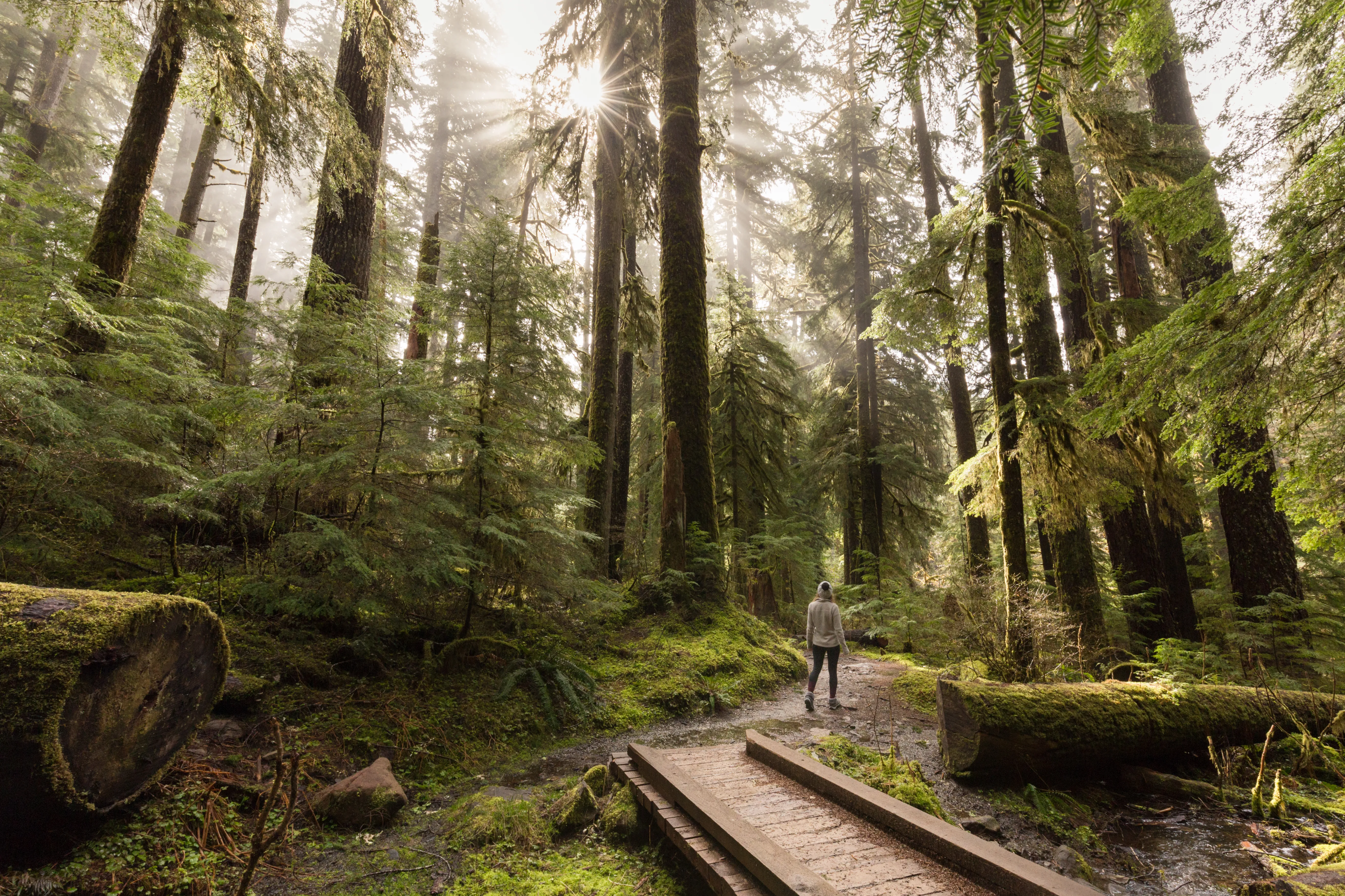 Olympic National Park