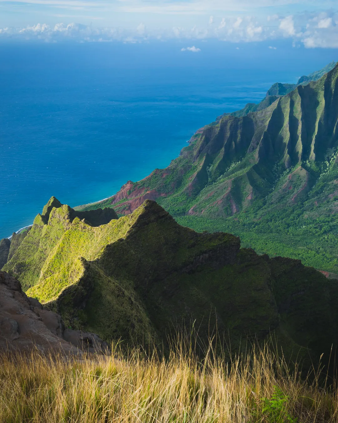 Hike Kalepa Ridge