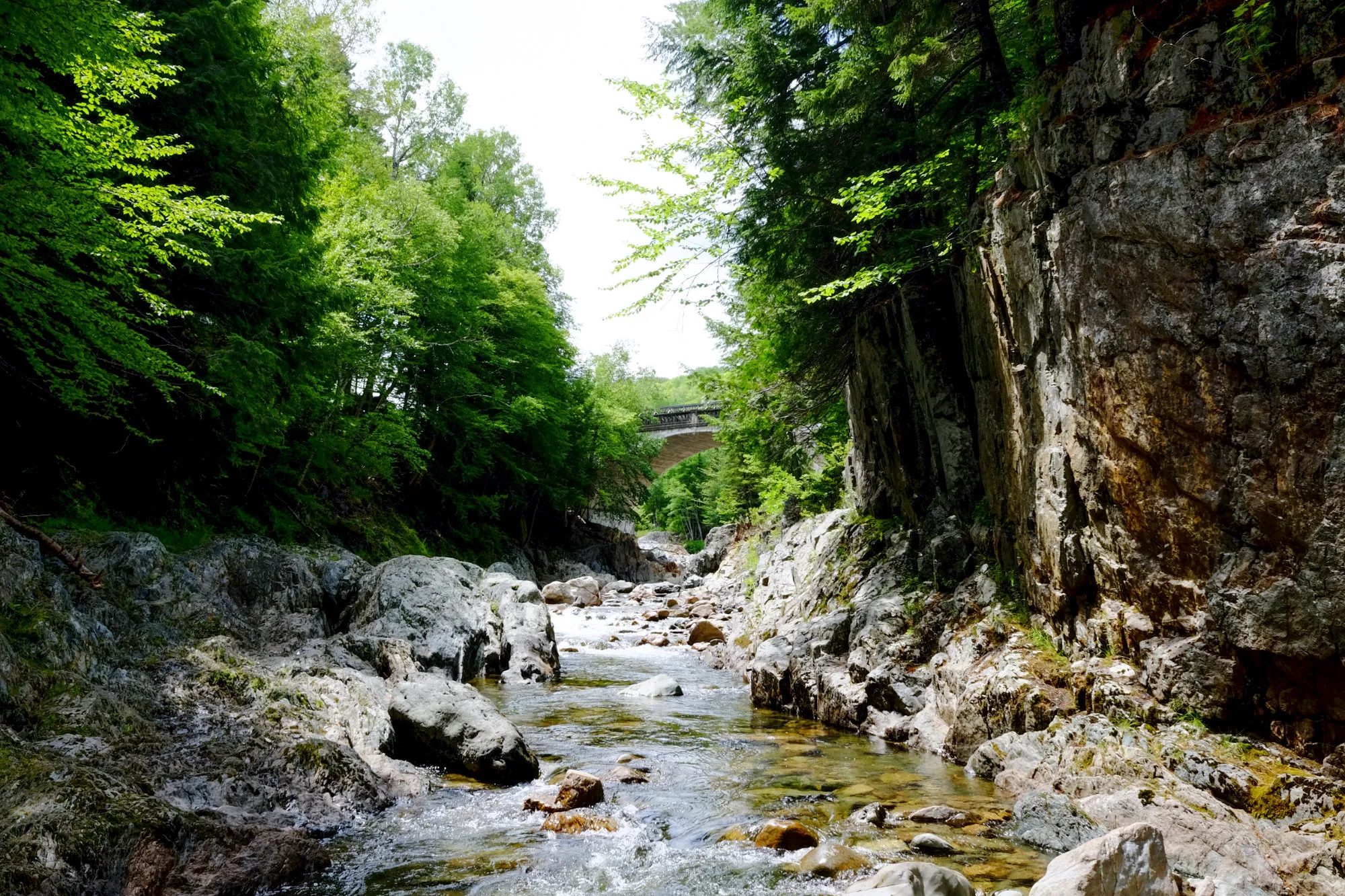 Water-Hike to Gordon Falls