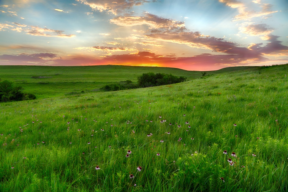 Hike the Konza Prairie Trail, Konza Prarie Nature Trail