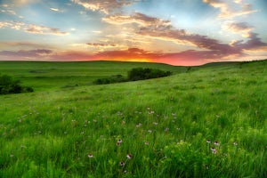 Konza Prairie Nature Trail