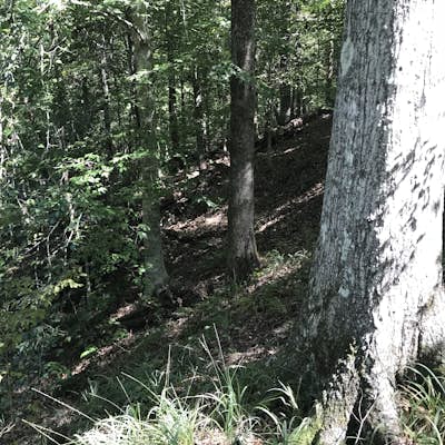 Hike the Clark Creek Primitive Trail