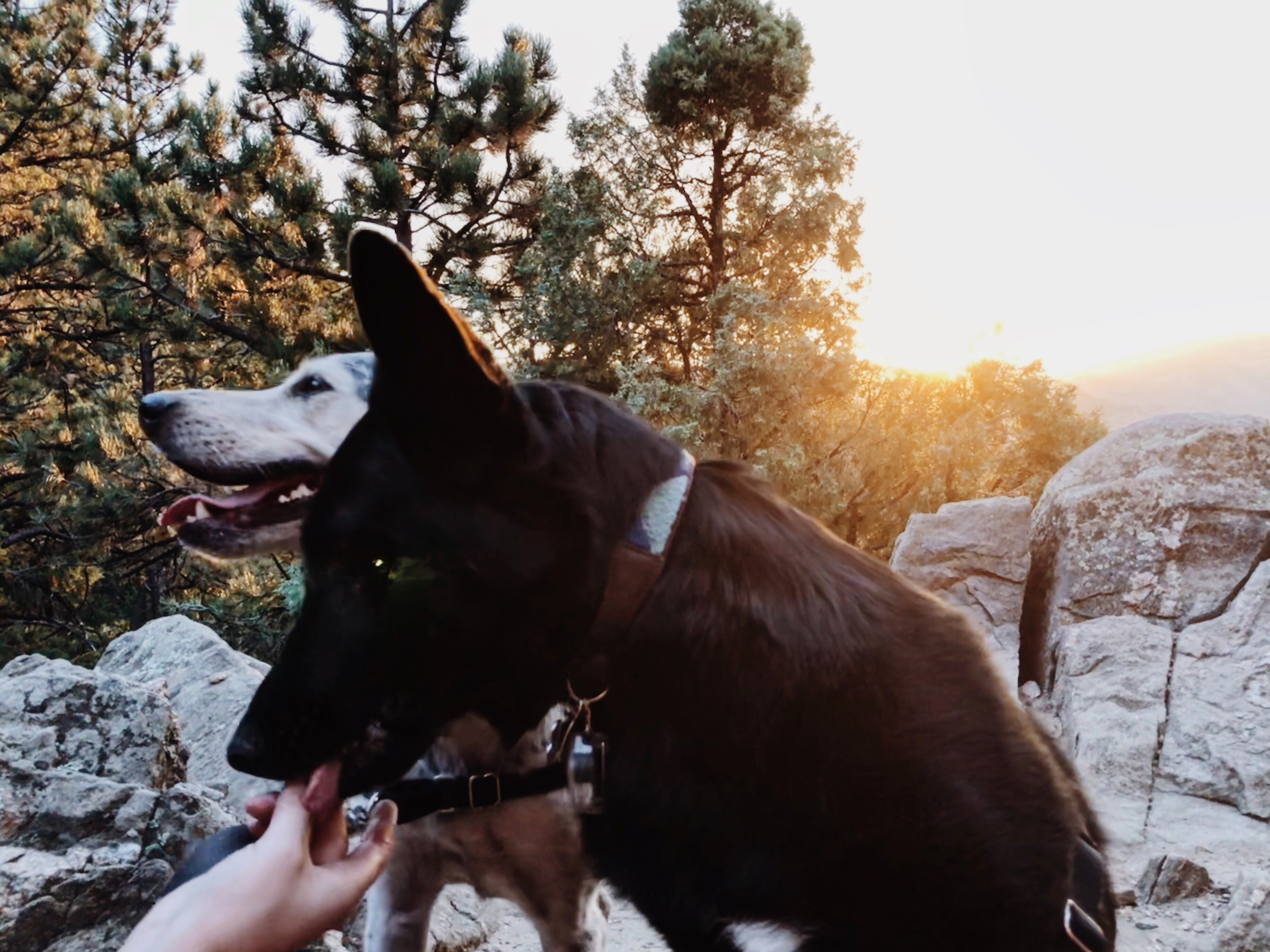 Lookout Mountain Trail