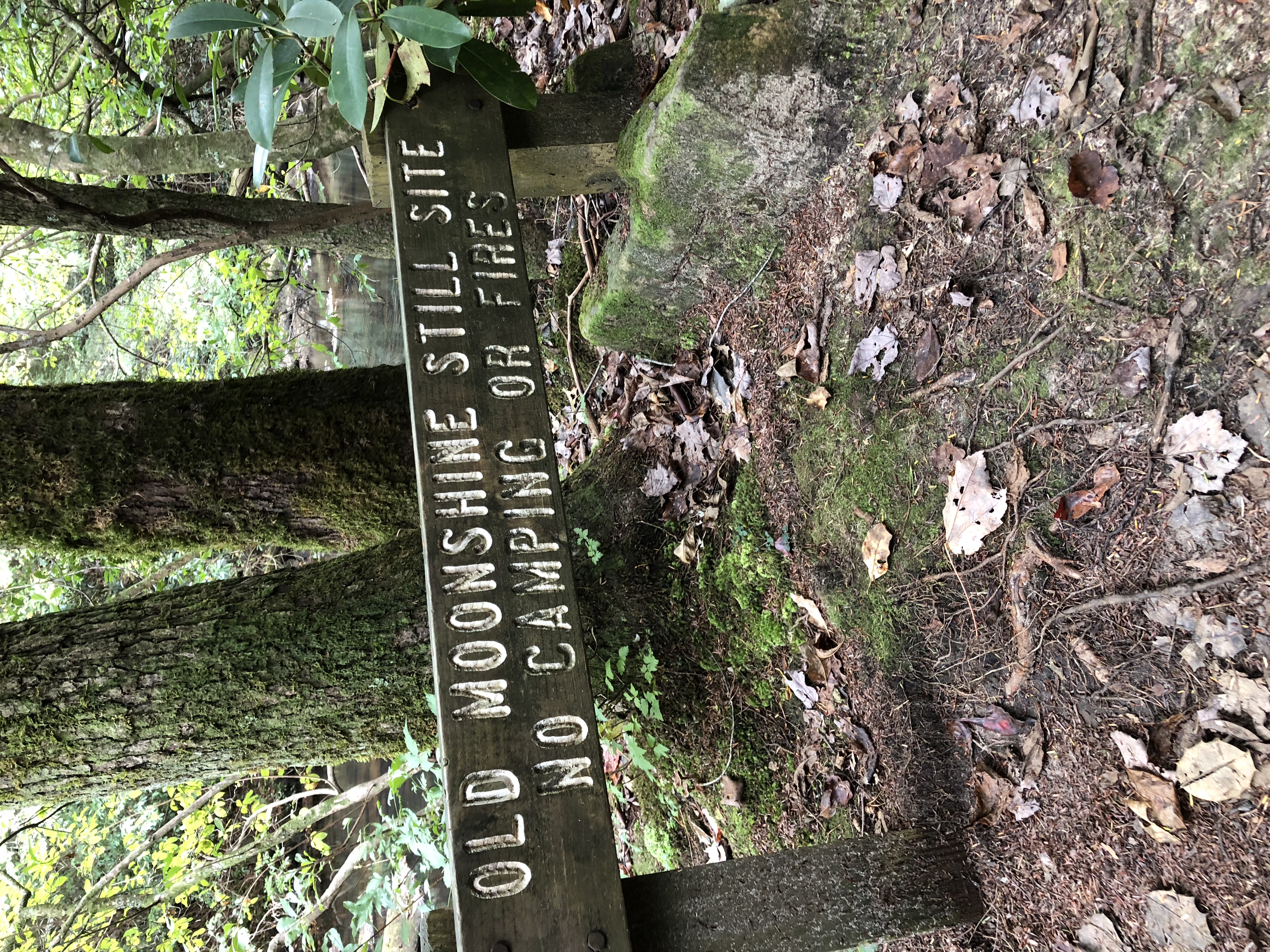Hike the North Plateau-North Rim Loop at Savage Gulf