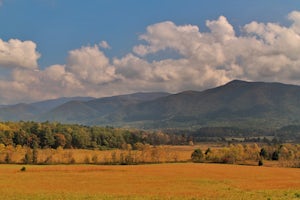 5 Must-Do Fall Adventures in the Smoky Mountains 