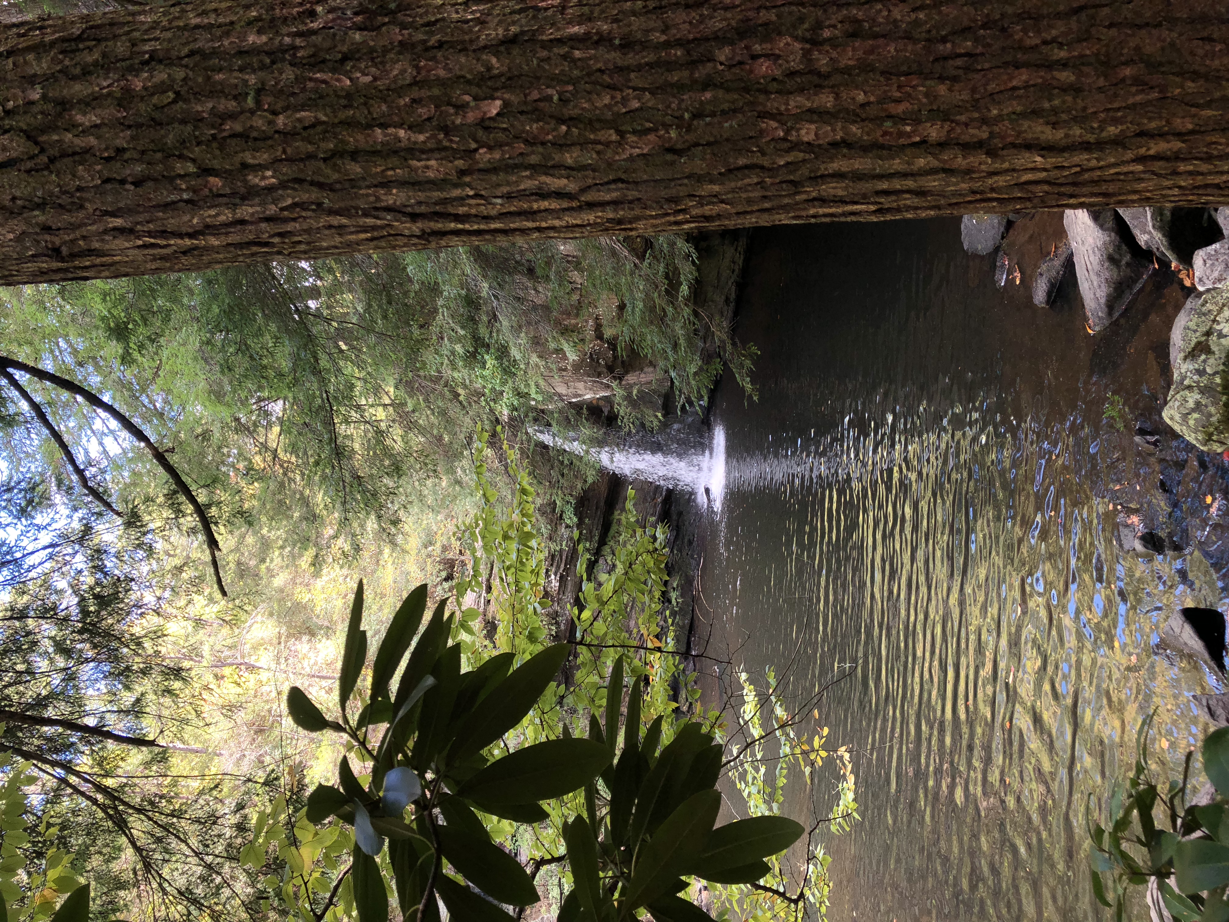 Hike the North Plateau-North Rim Loop at Savage Gulf