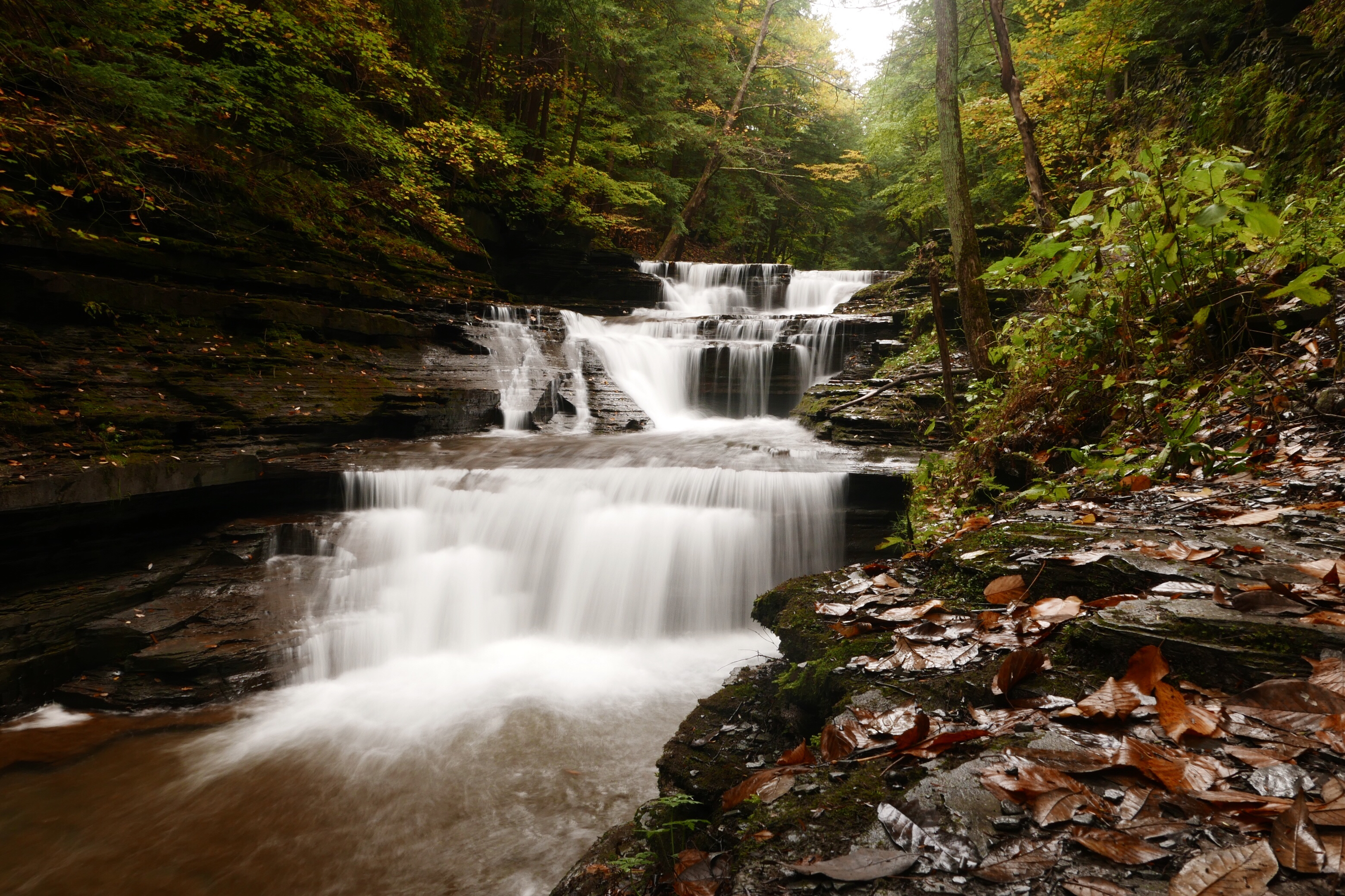 Gorge Trail at Buttermilk Falls