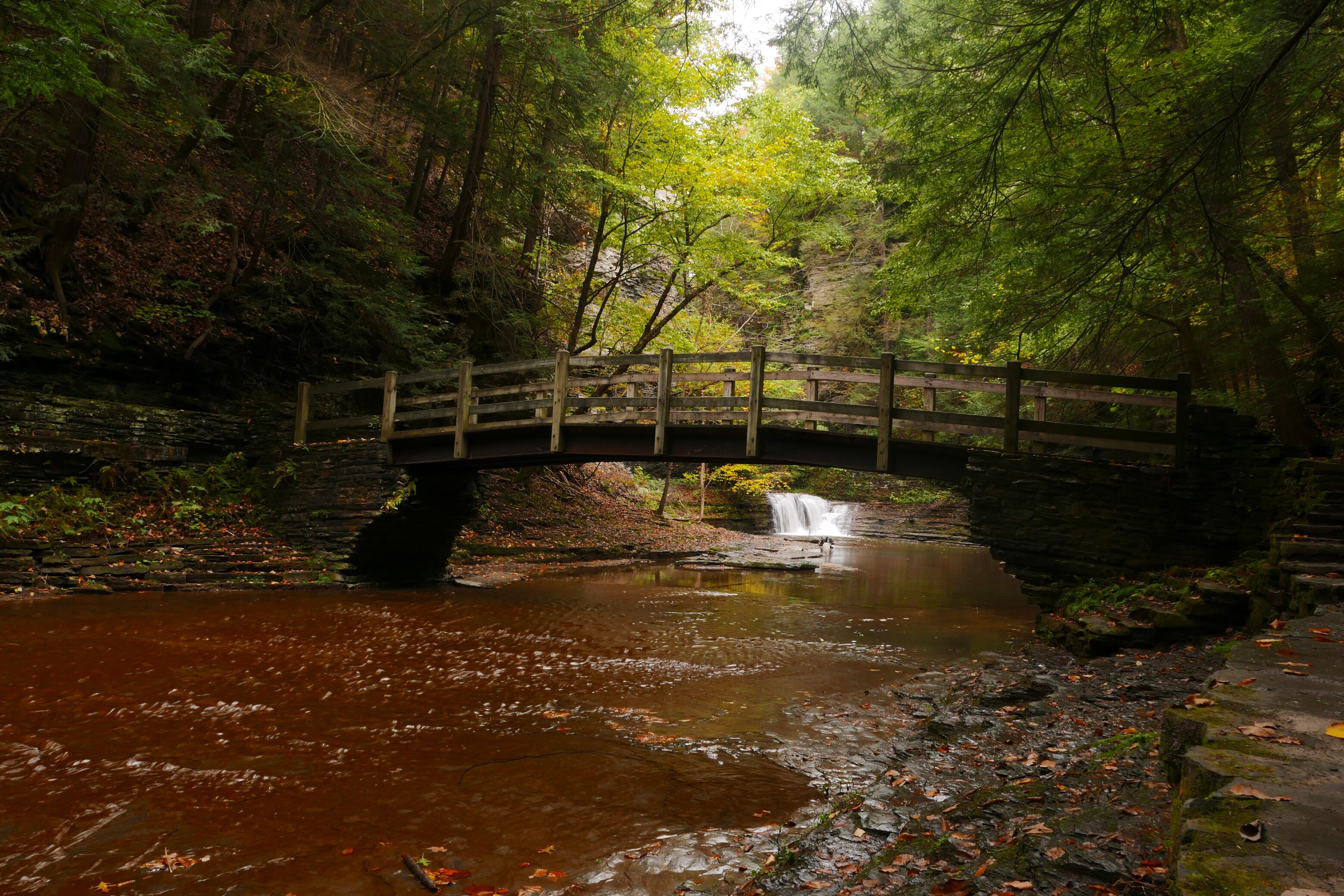 Gorge Trail at Buttermilk Falls