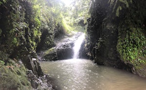 Maunawili Falls (Temporarily Closed)