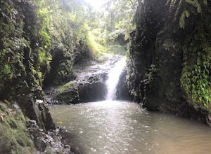 Maunawili Falls (Temporarily Closed)