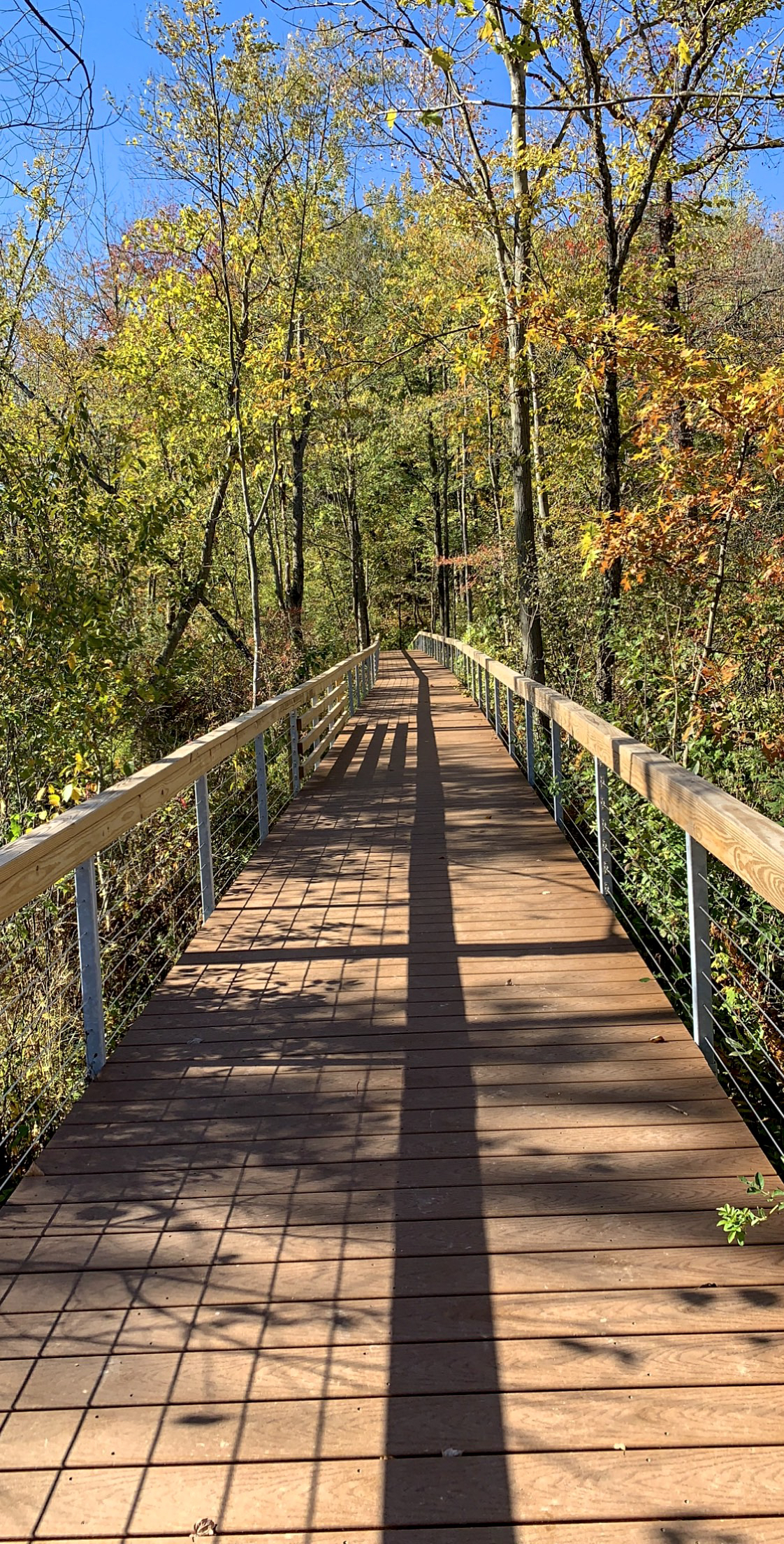 Hike the Cowles Bog Trail, Indiana Dunes National Lakeshore