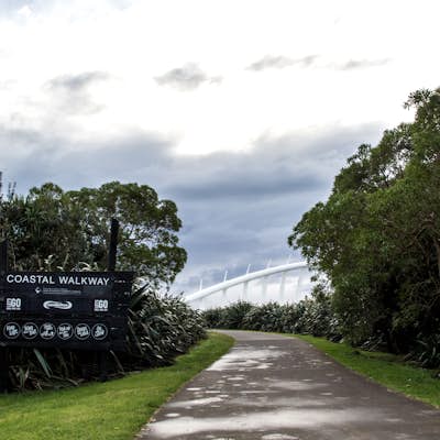 Visit the Te Rewa Rewa Bridge
