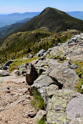 Avery Peak and West Bigelow